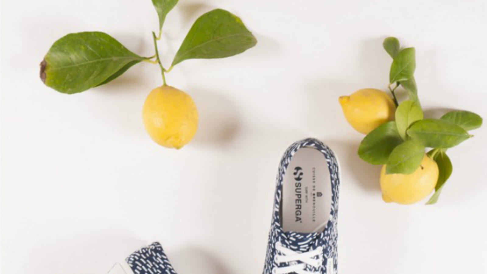 Cuisse de grenouille X Superga