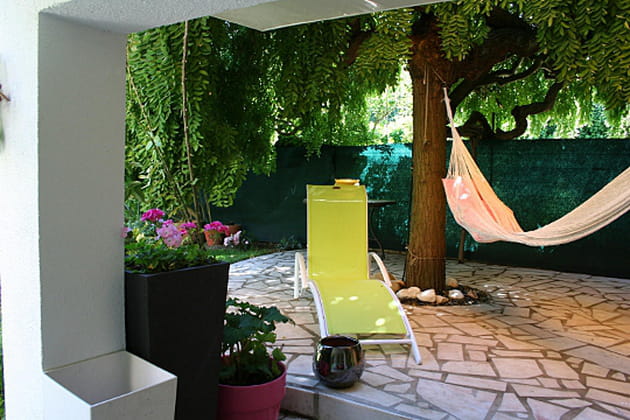 Le sophora en &eacute;t&eacute;