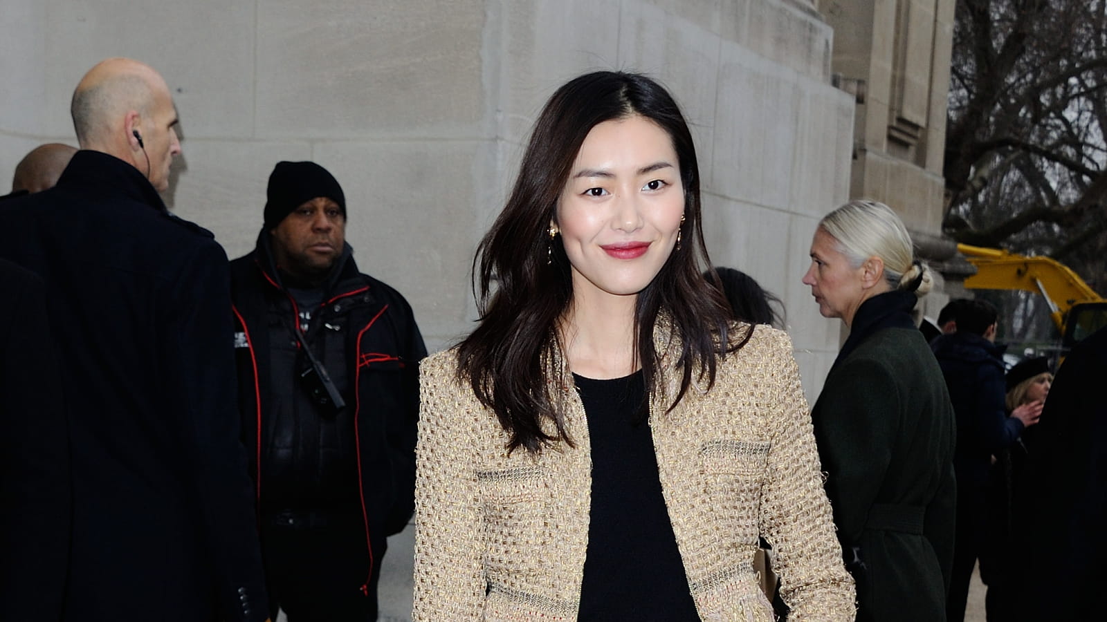 Liu Wen
