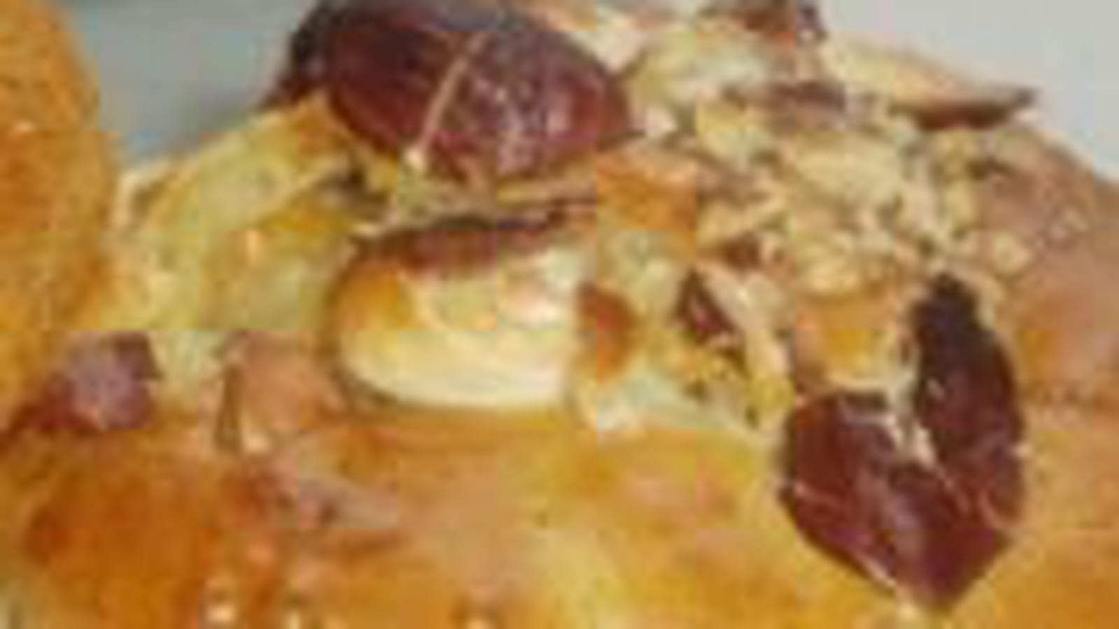 Mini cake aux endives et roquefort