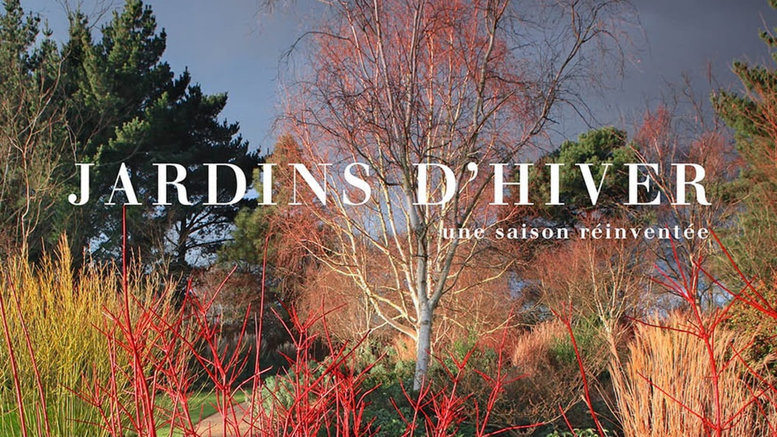 Jardins d'hiver