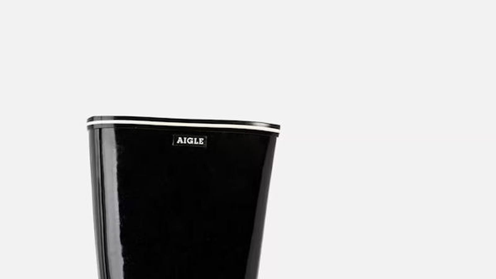 Bottes Aigle