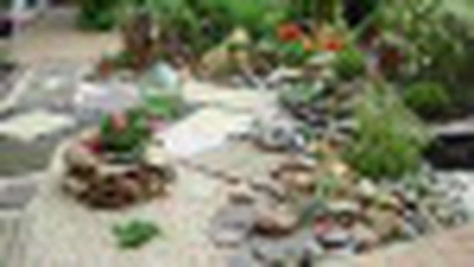 Jardin