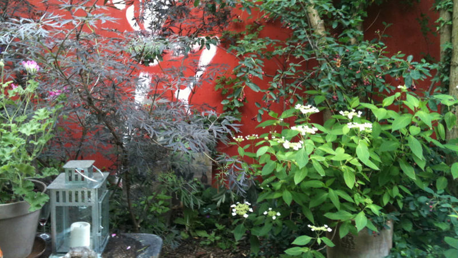Jardin de Camille They