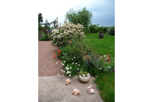 Tortue, lapin et Cie