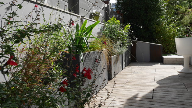 Après : une nouvelle terrasse végétalisée