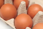 "Ce n'est pas l'idéal" : une experte en sécurité alimentaire déconseille de conserver les œufs à cet endroit