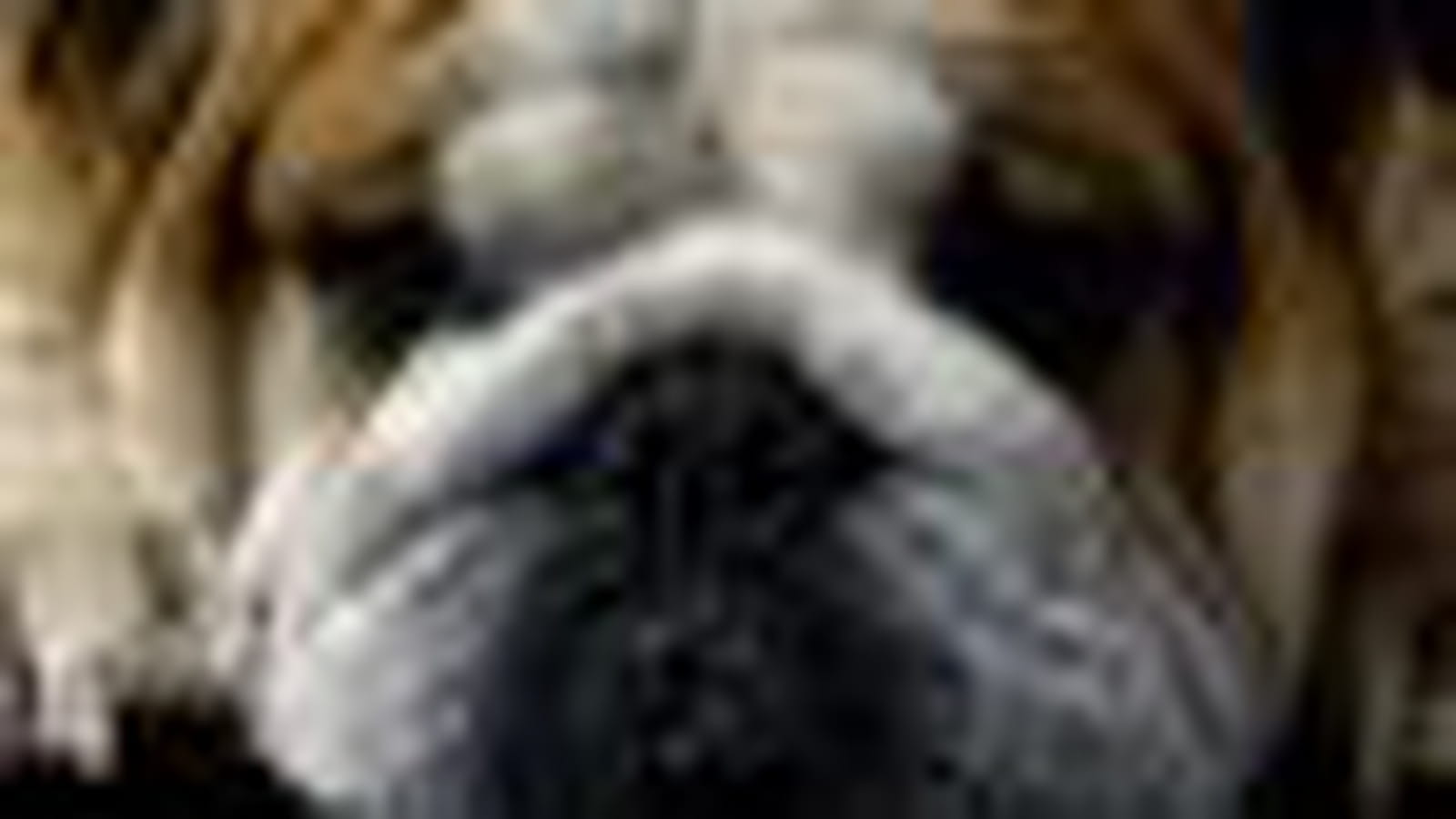 Bouledogue