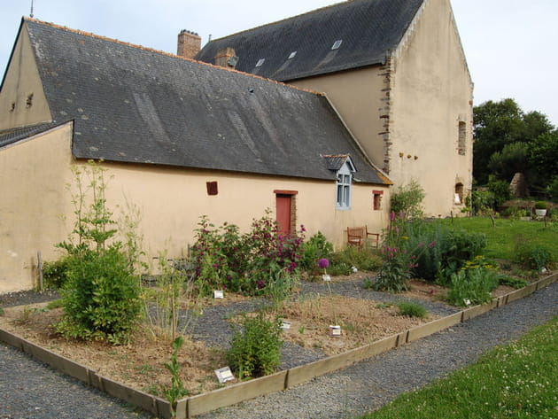 Des all&eacute;es paill&eacute;es d'ardoise