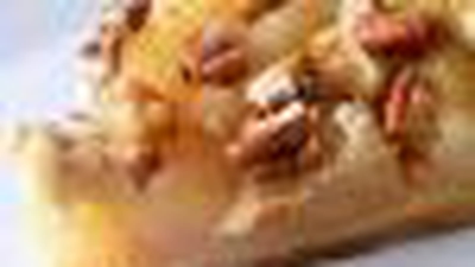 Tarte aux fruits