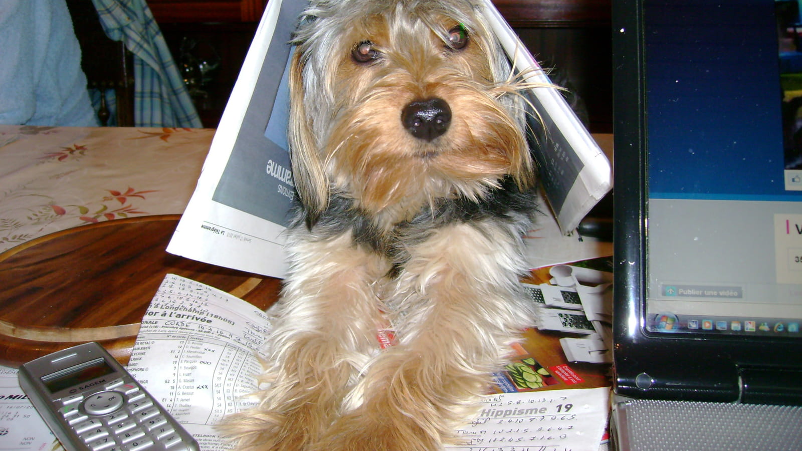 Sous les journaux