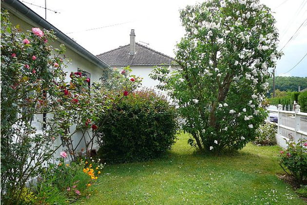 Le jardin côté rue