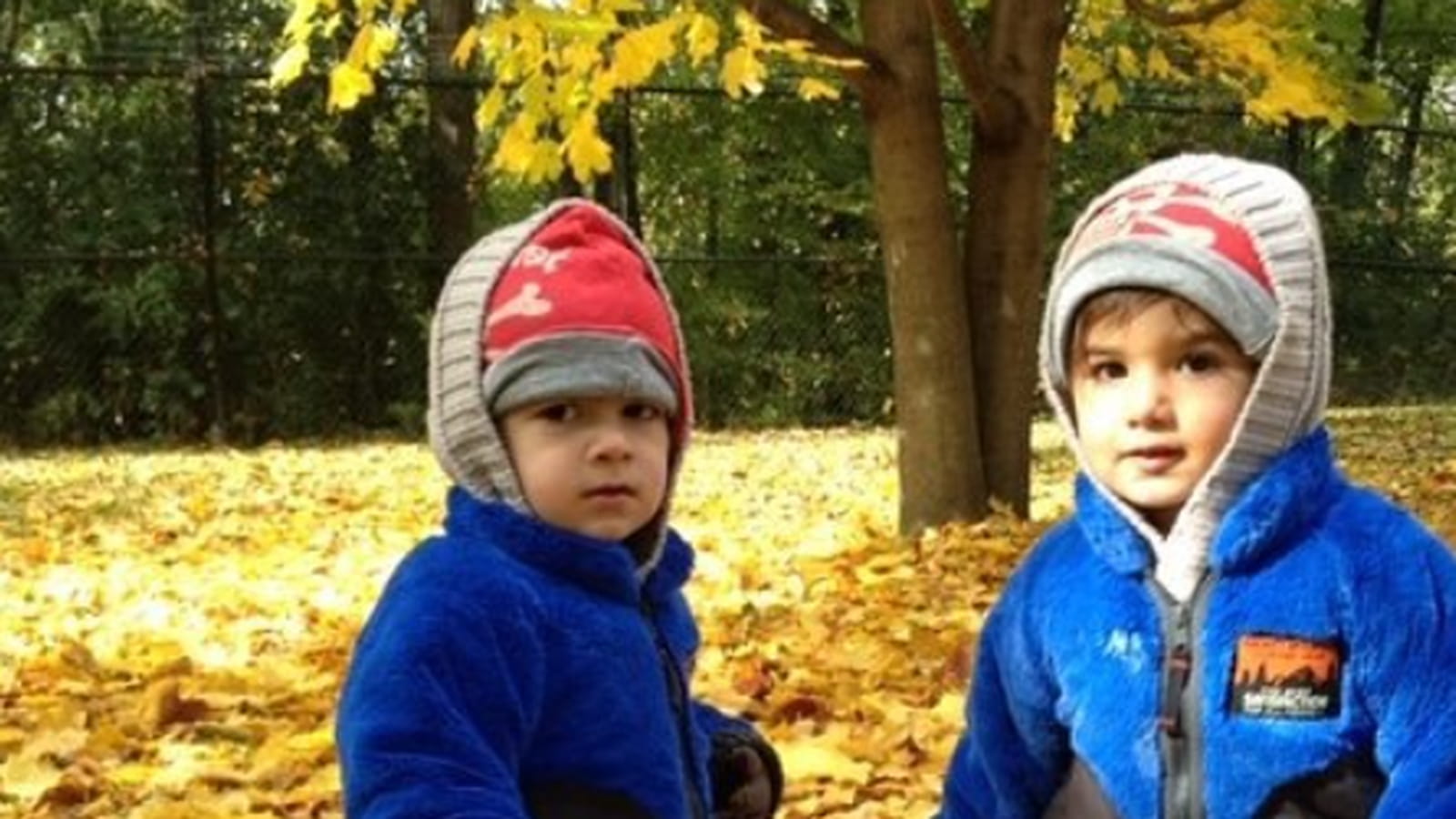 Nelson et Eddy