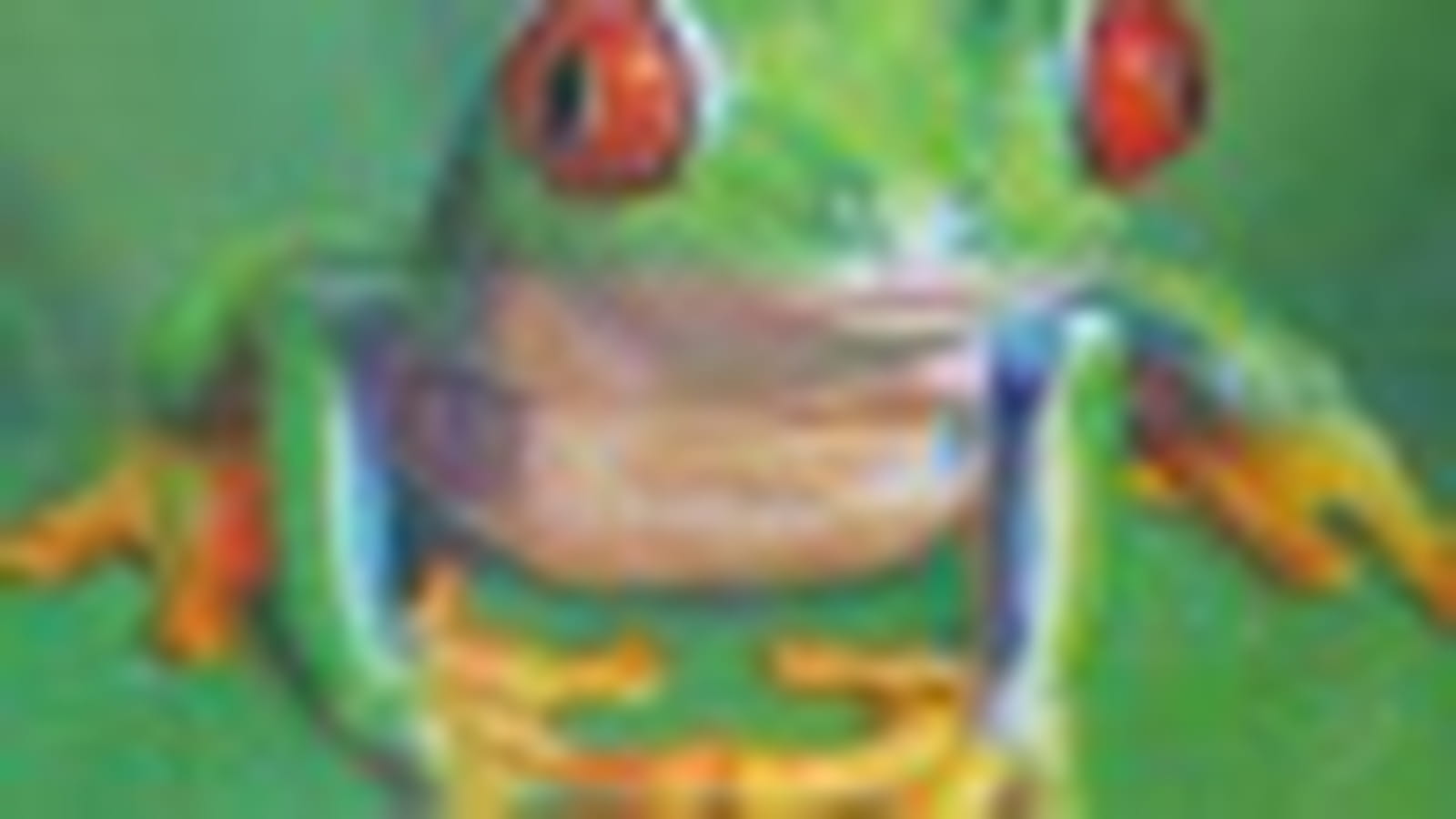 Grenouille