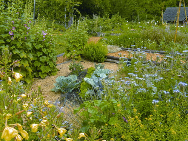 Des allées en copeaux de bois