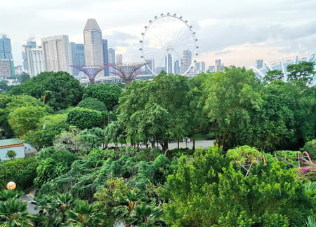 Singapour-foret-urbaine