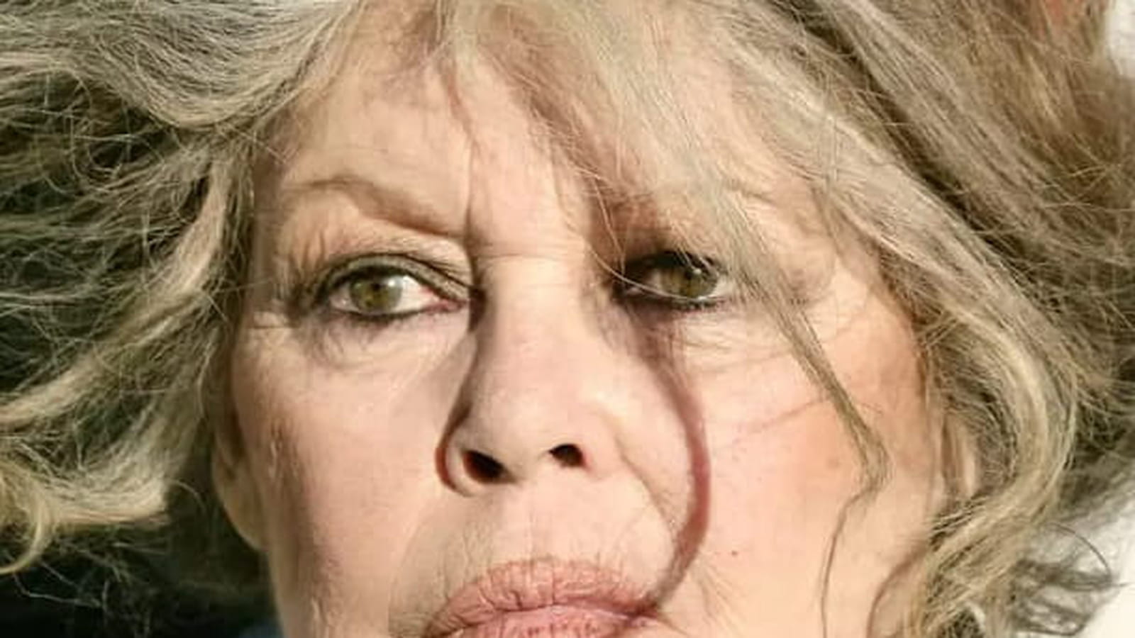 Brigitte Bardot