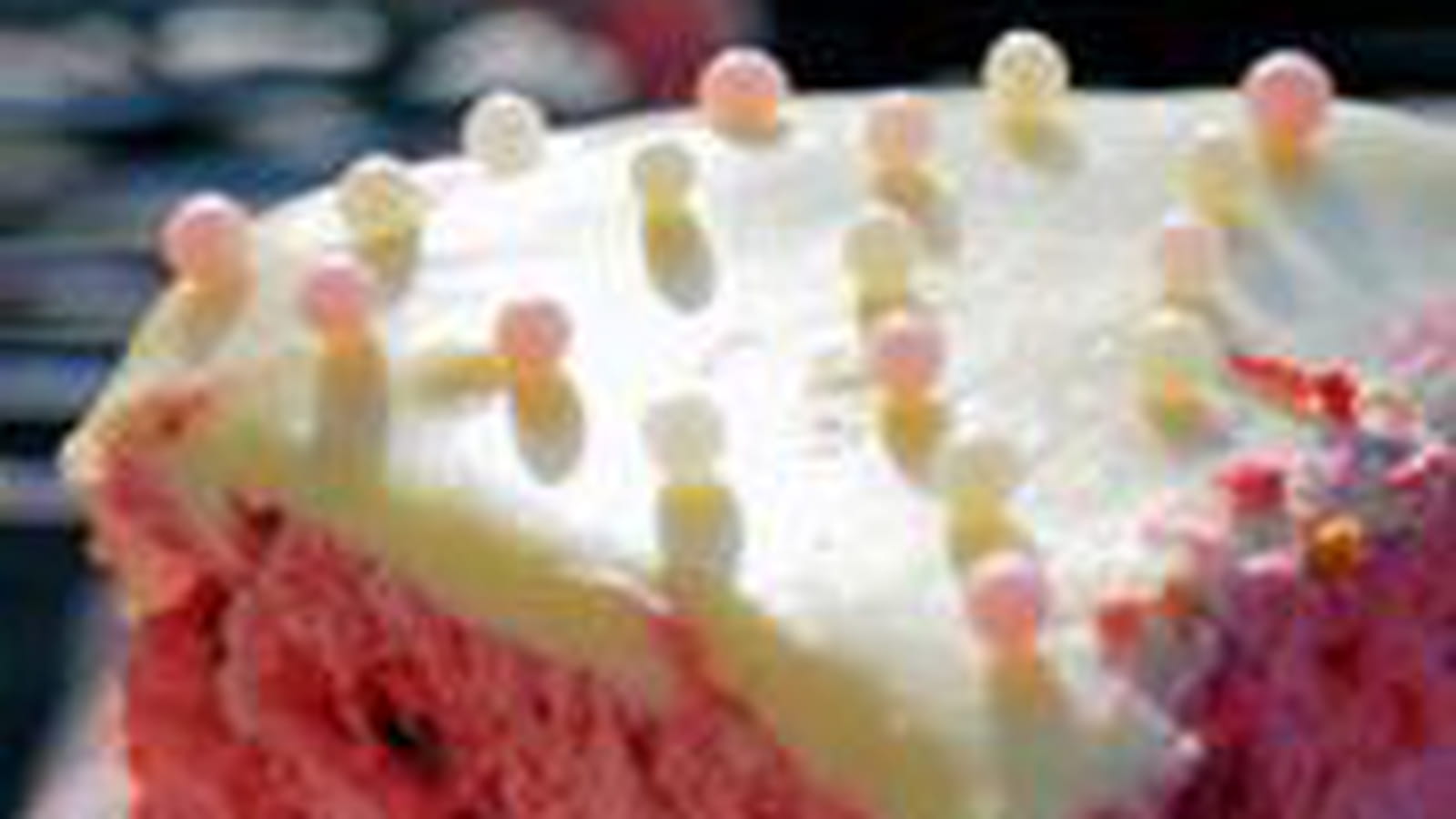 Bavarois framboises