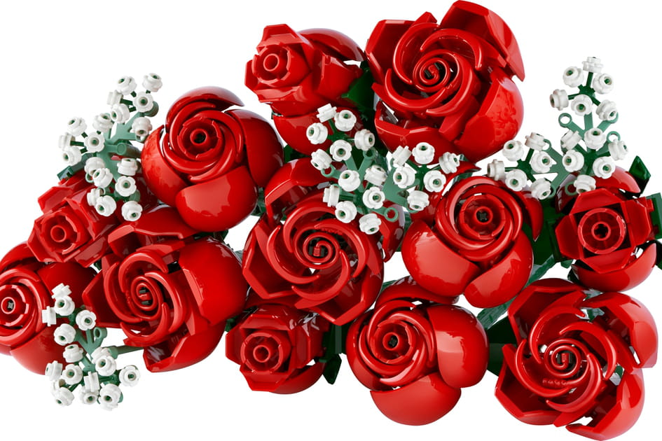 Le bouquet de roses rouges qui ne fane pas