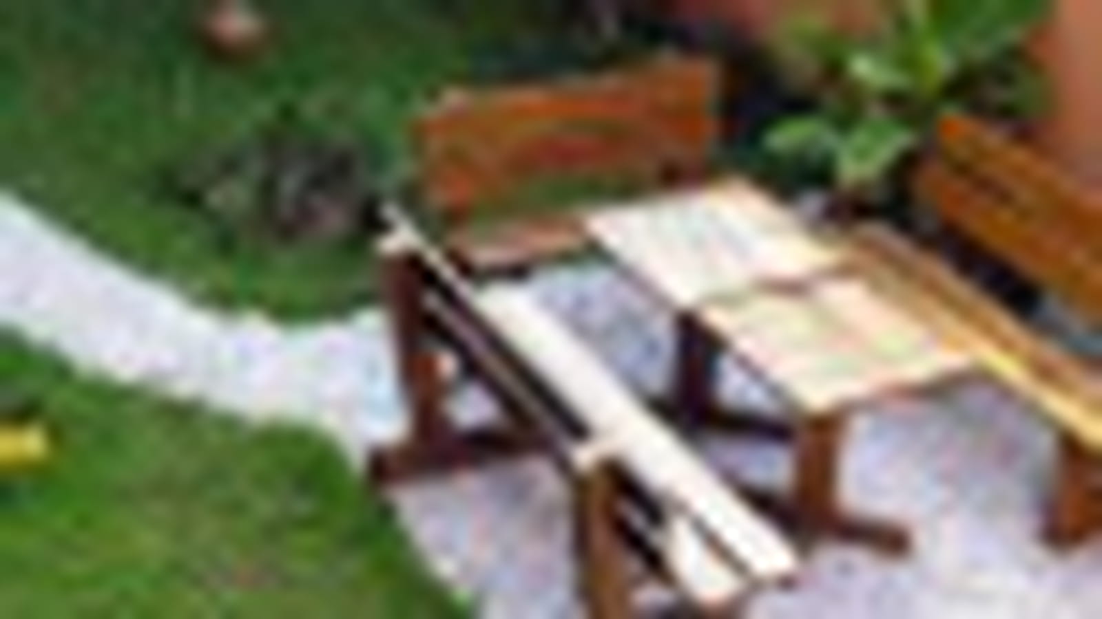 Jardin tropical