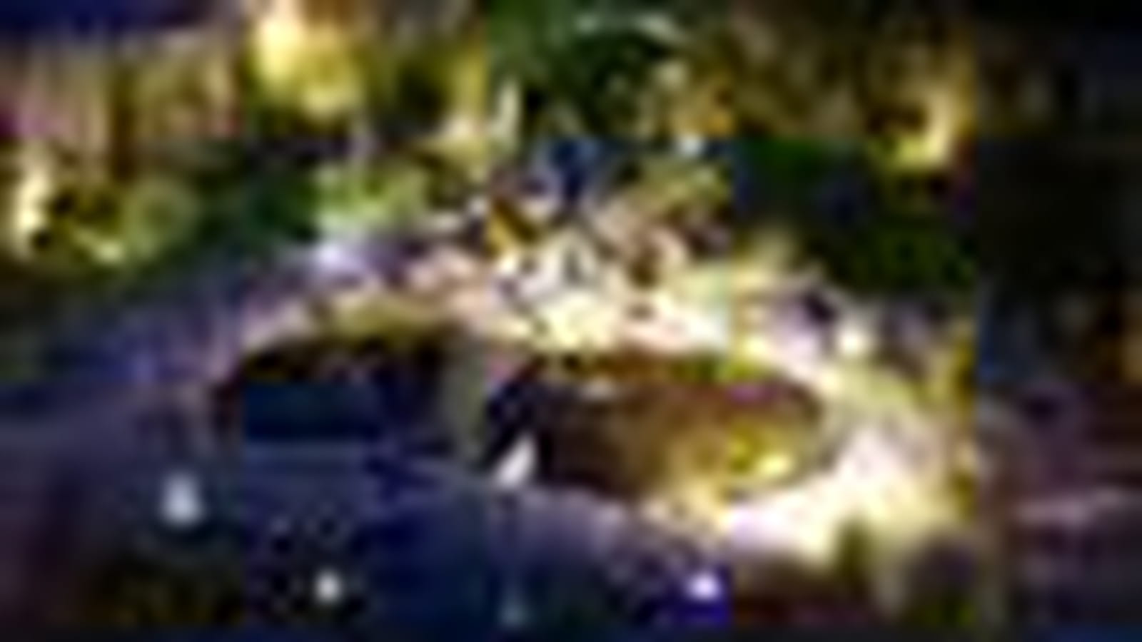 Jardin de nuit