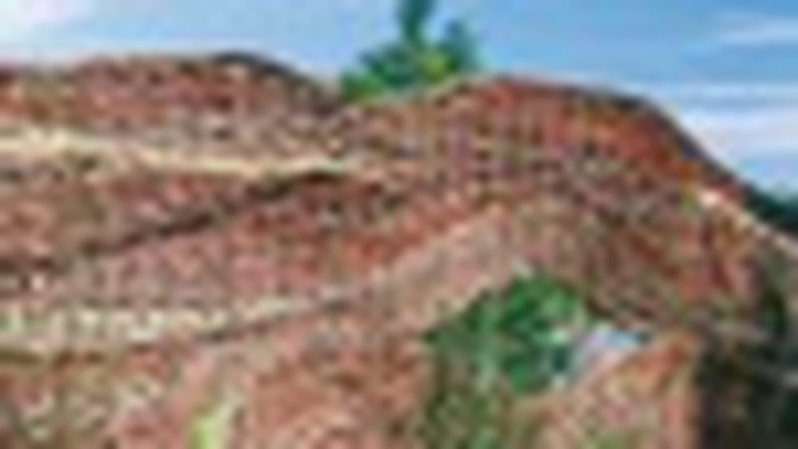 Le mur d'osier tressé