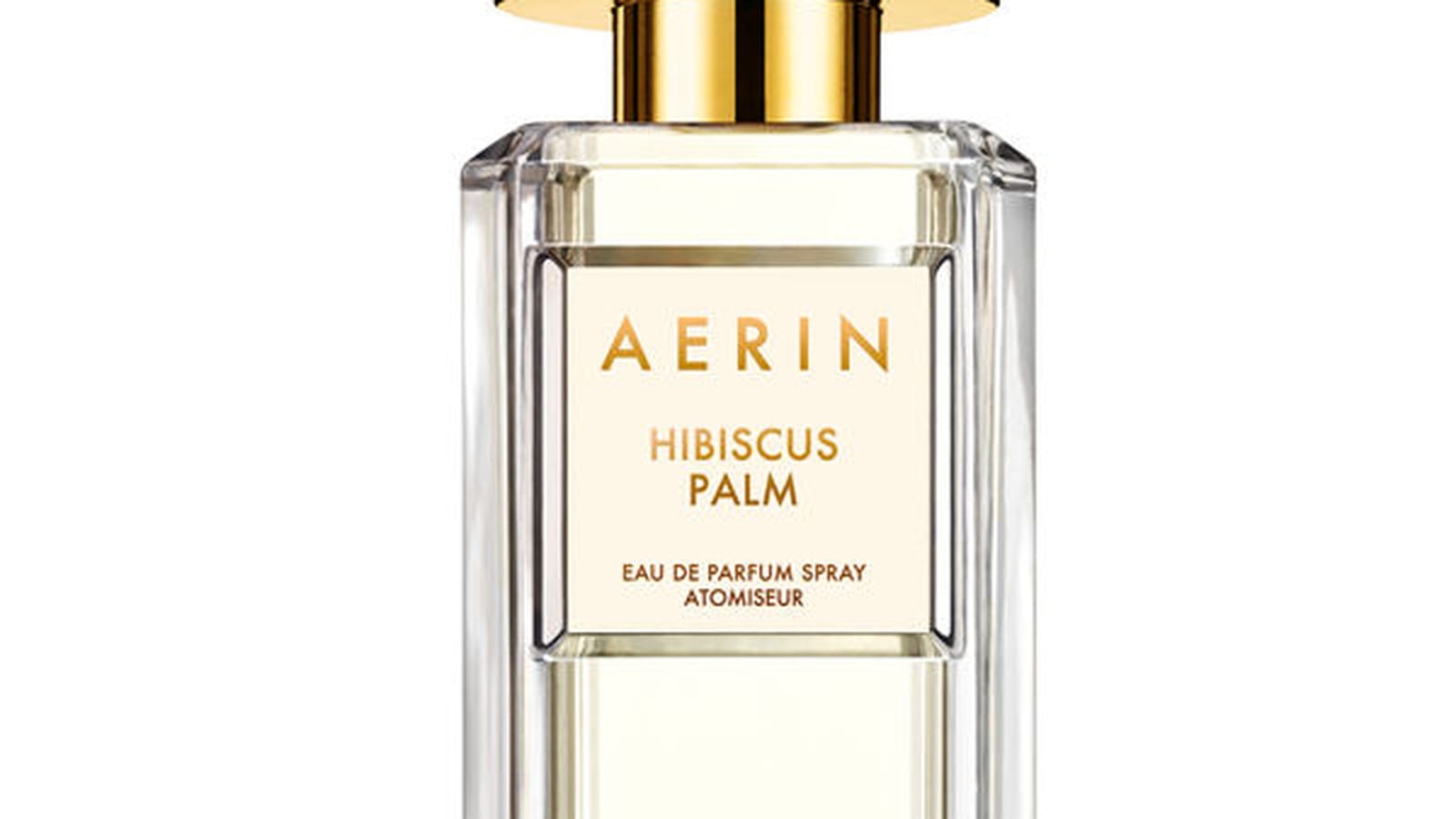 Hibiscus Palm Aerin