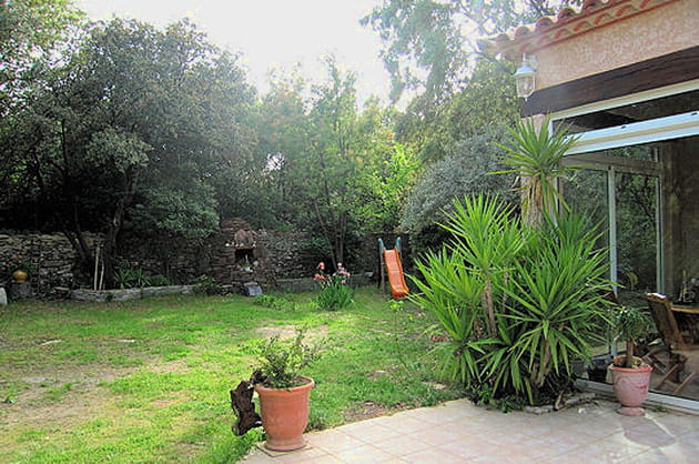 Le yucca d'int&eacute;rieur