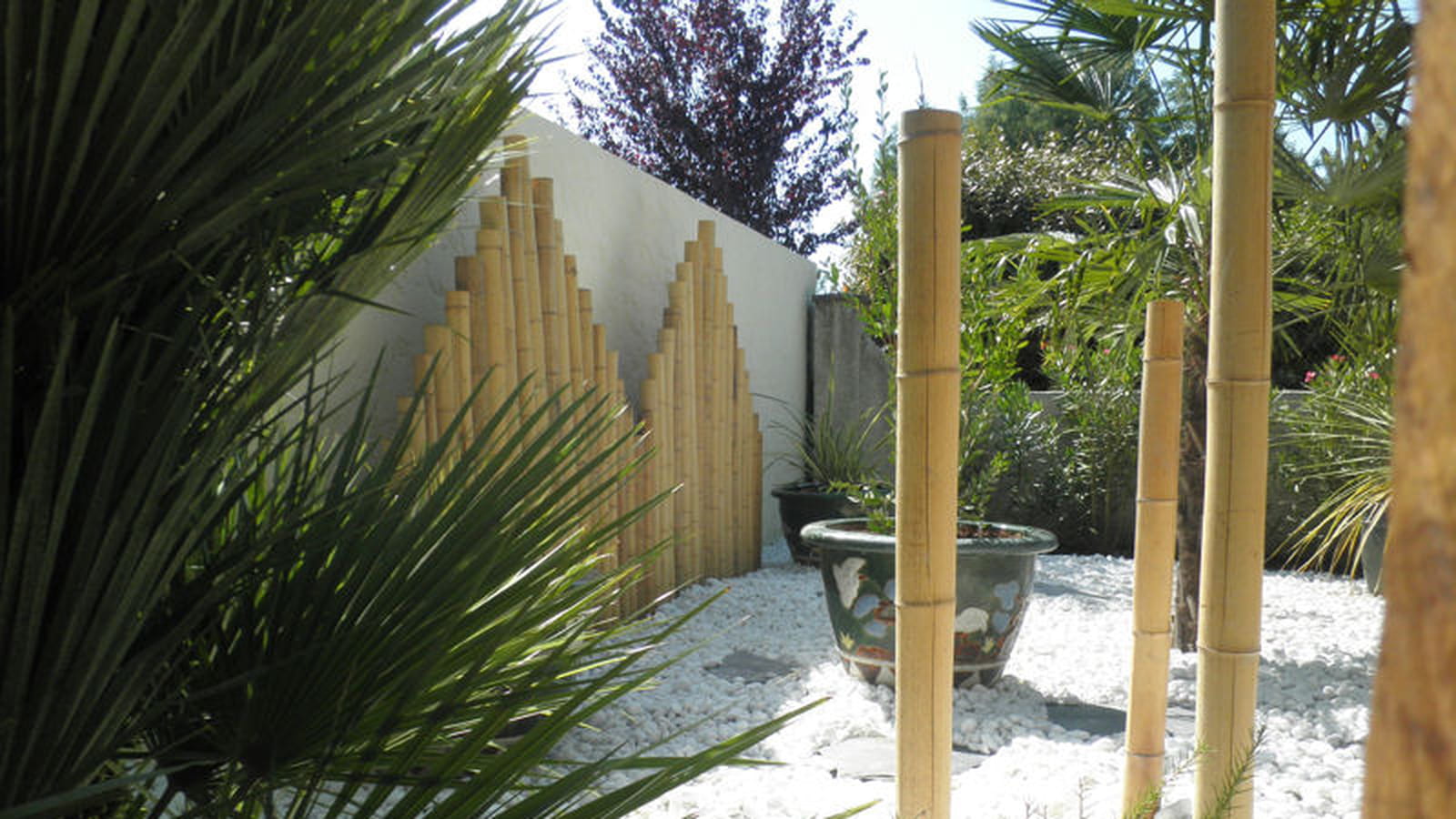 Trio de bambou
