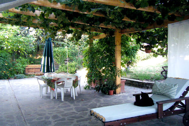 Une pergola diff&eacute;rente selon les saisons