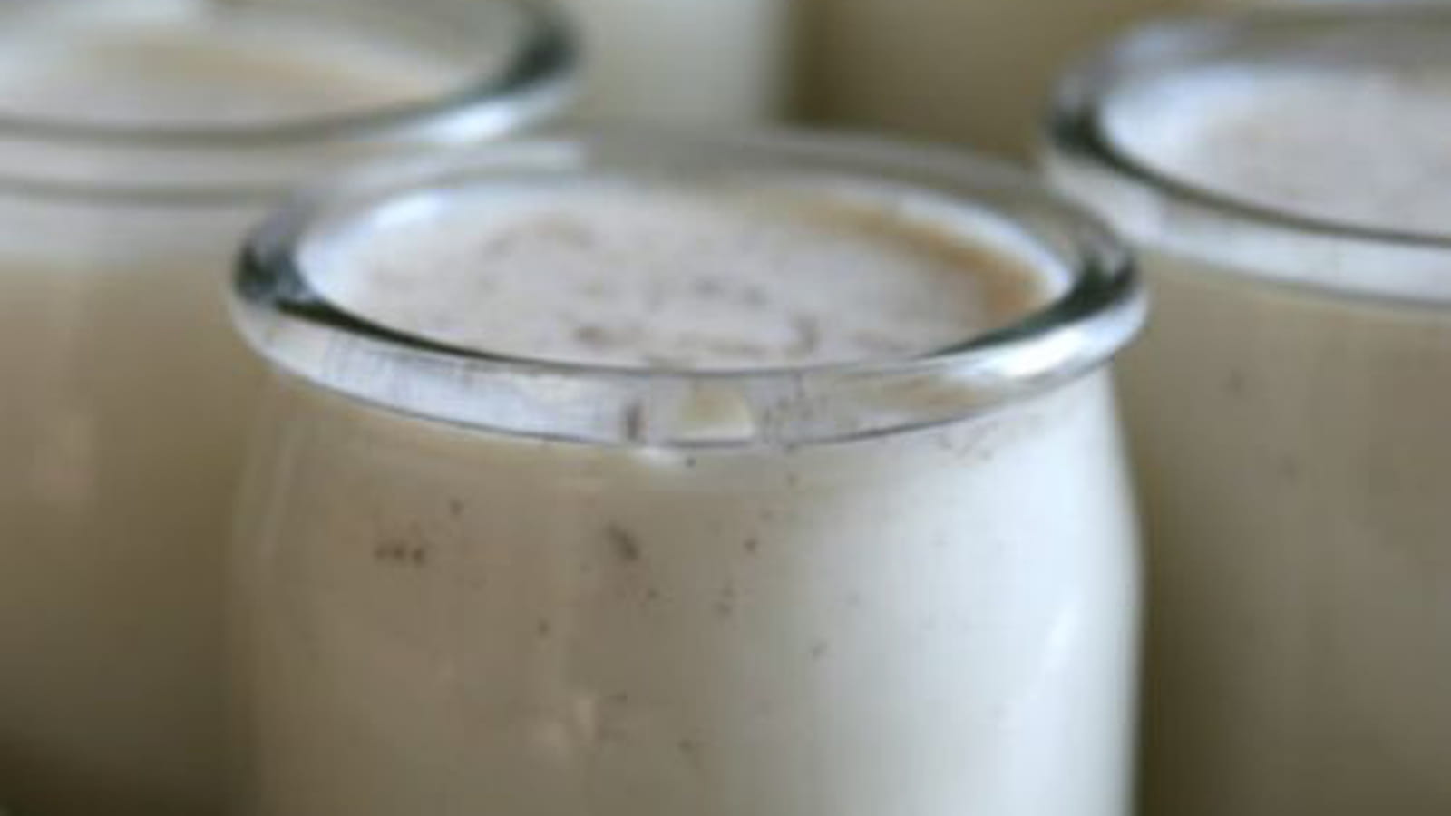 Yaourts au Thermomix