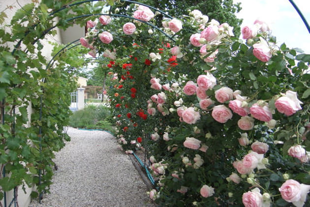 En mettre plein la vue !