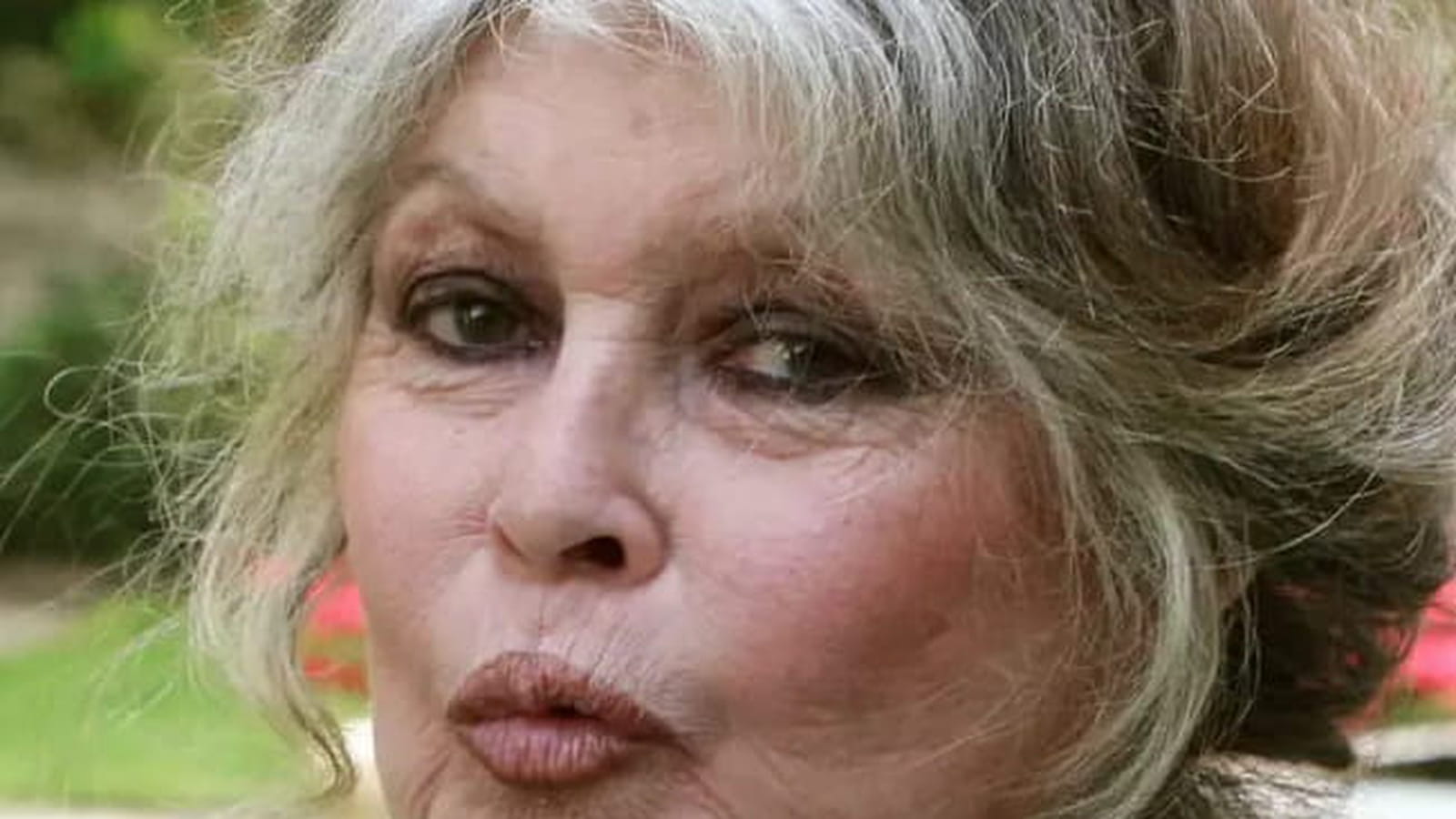 Brigitte Bardot