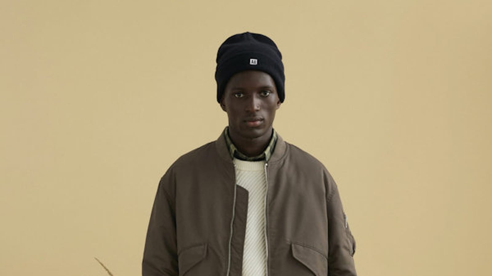 Bomber Aigle