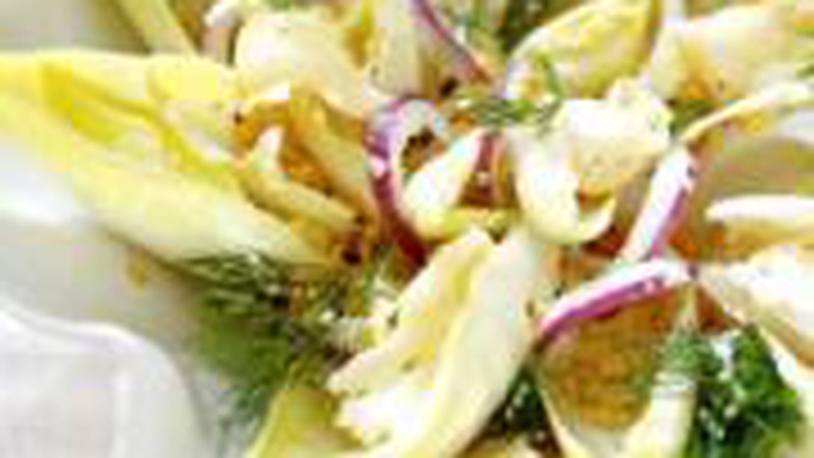 Fraîcheur d'endives au livarot