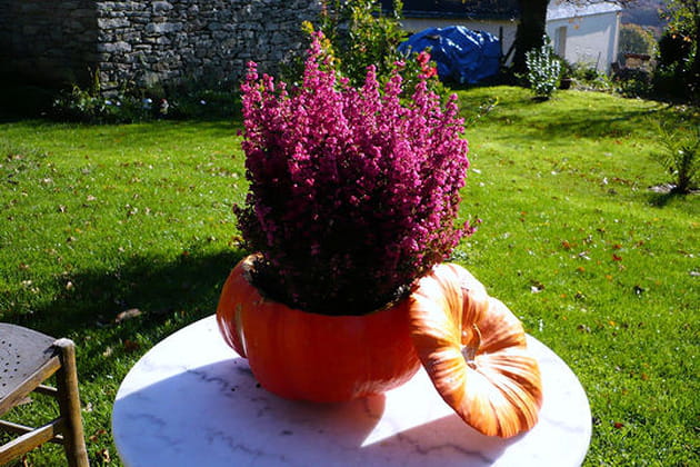 Sp&eacute;cial Halloween