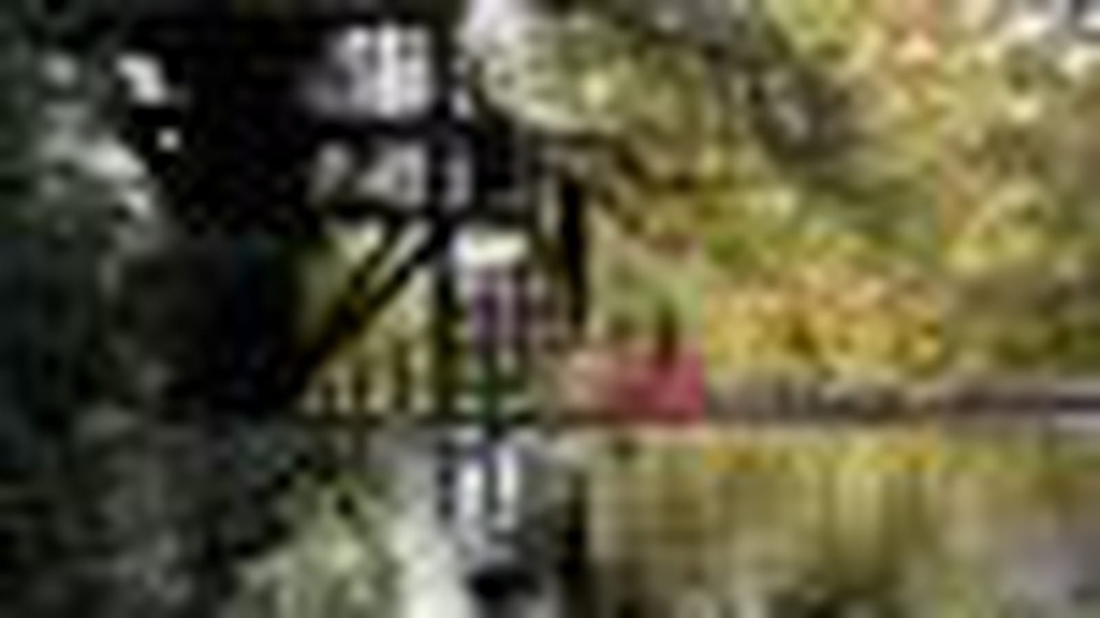 Cabane