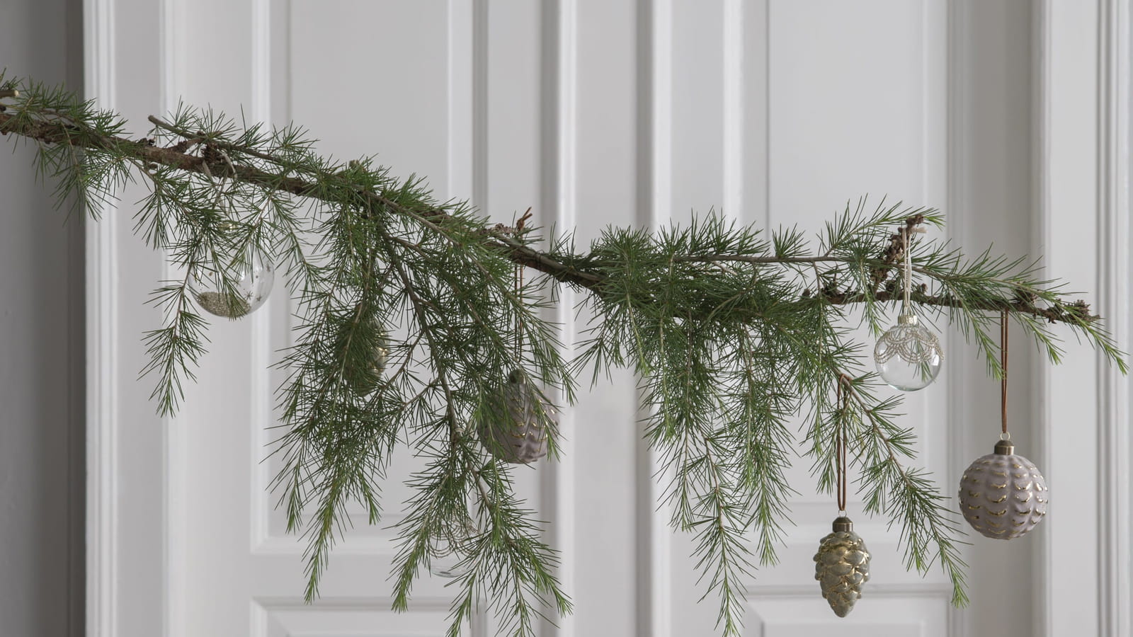 Branches de sapin