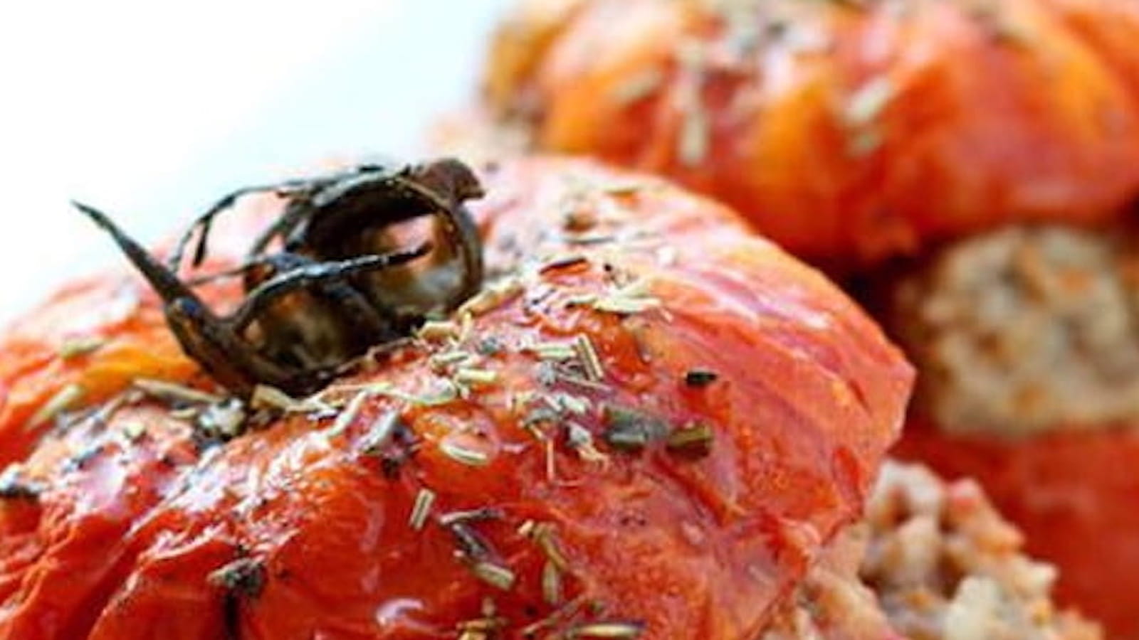 Tomates farcies