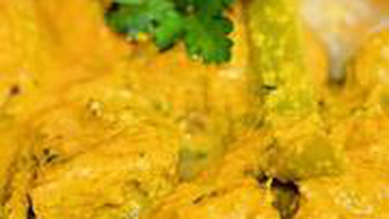 Thon au curcuma