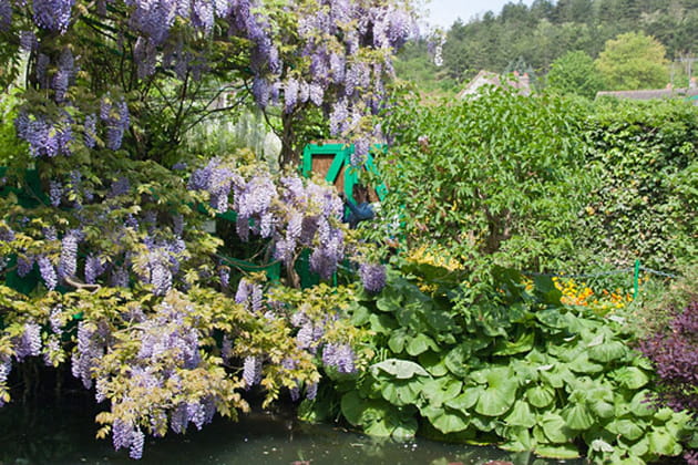 Un jardin d&eacute;j&agrave; c&eacute;l&eacute;br&eacute; par ses contemporains