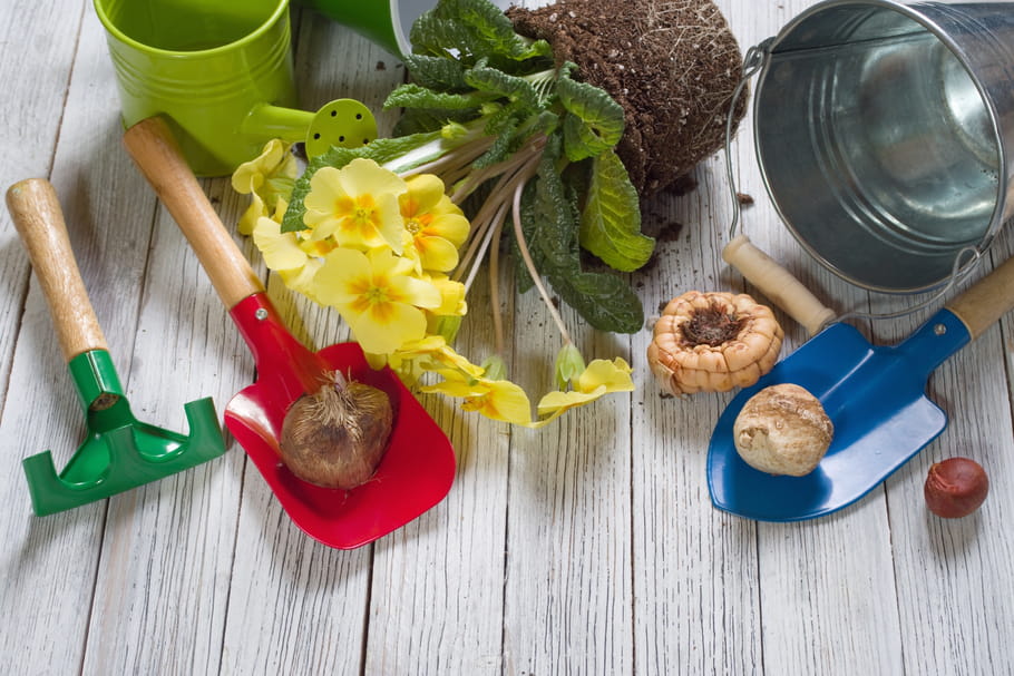 Comment entretenir ses outils de jardin ?