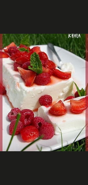 Terrine de fromage blanc