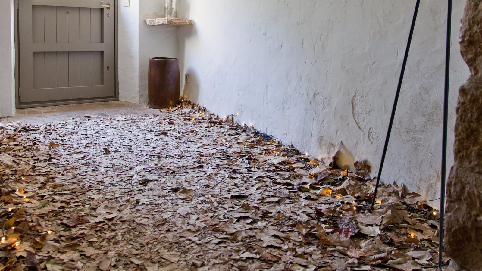Feuilles mortes
