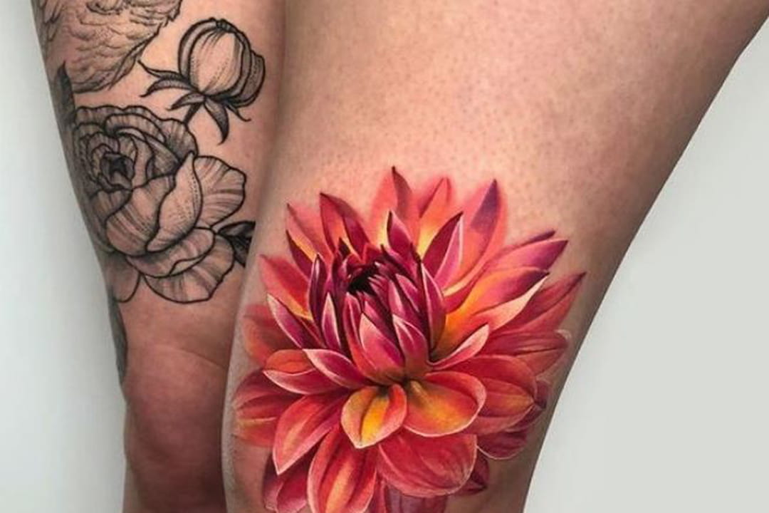 Fleur de lotus vibrante sur la cuisse