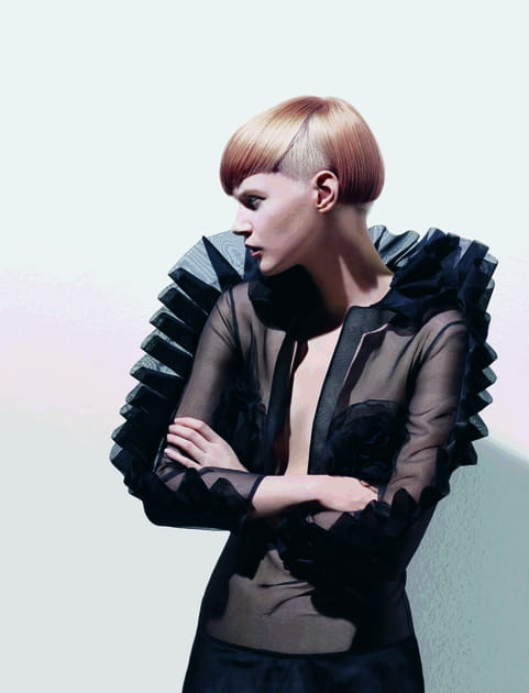 Court g&eacute;om&eacute;trique