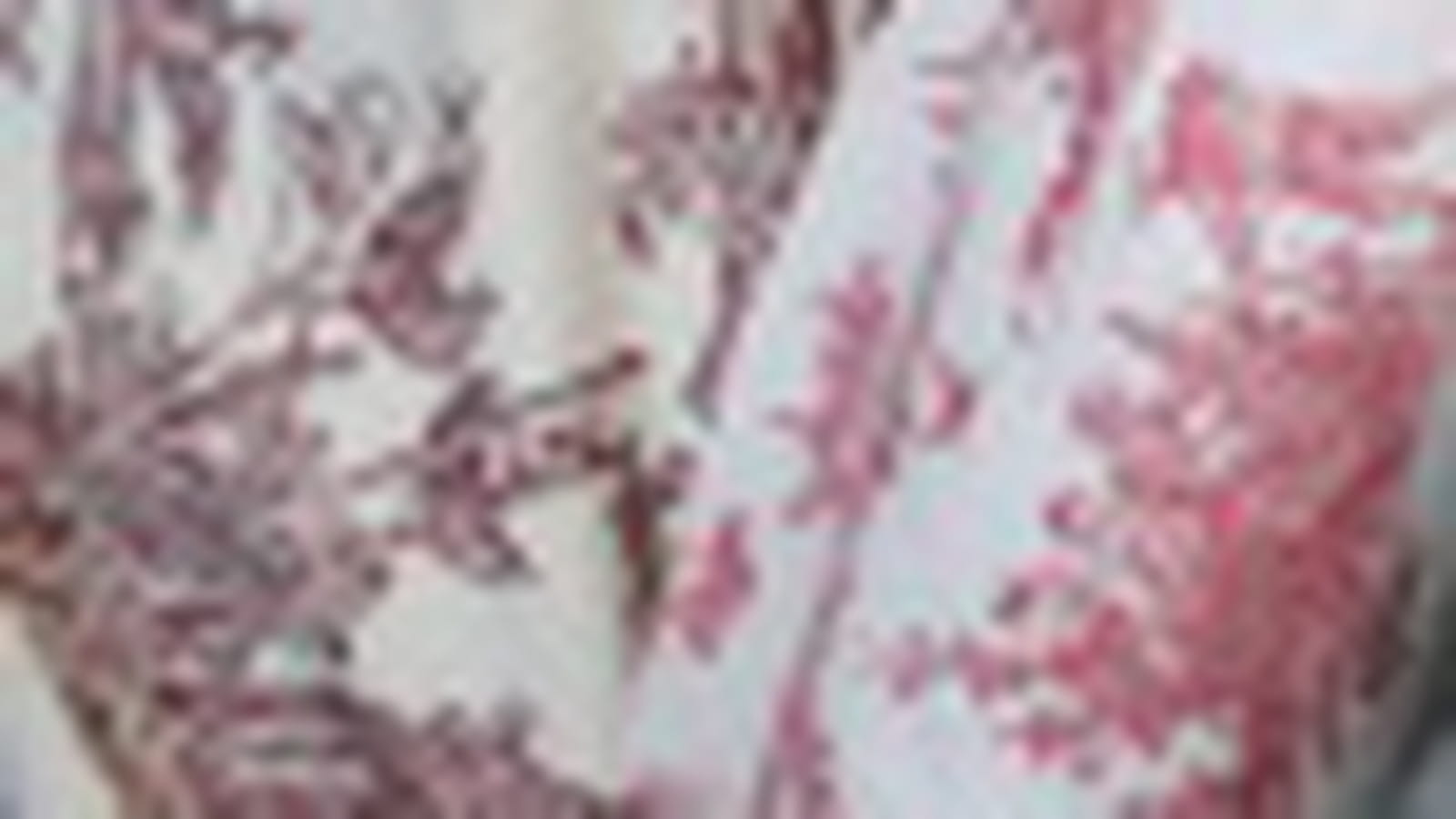 Toile de Jouy
