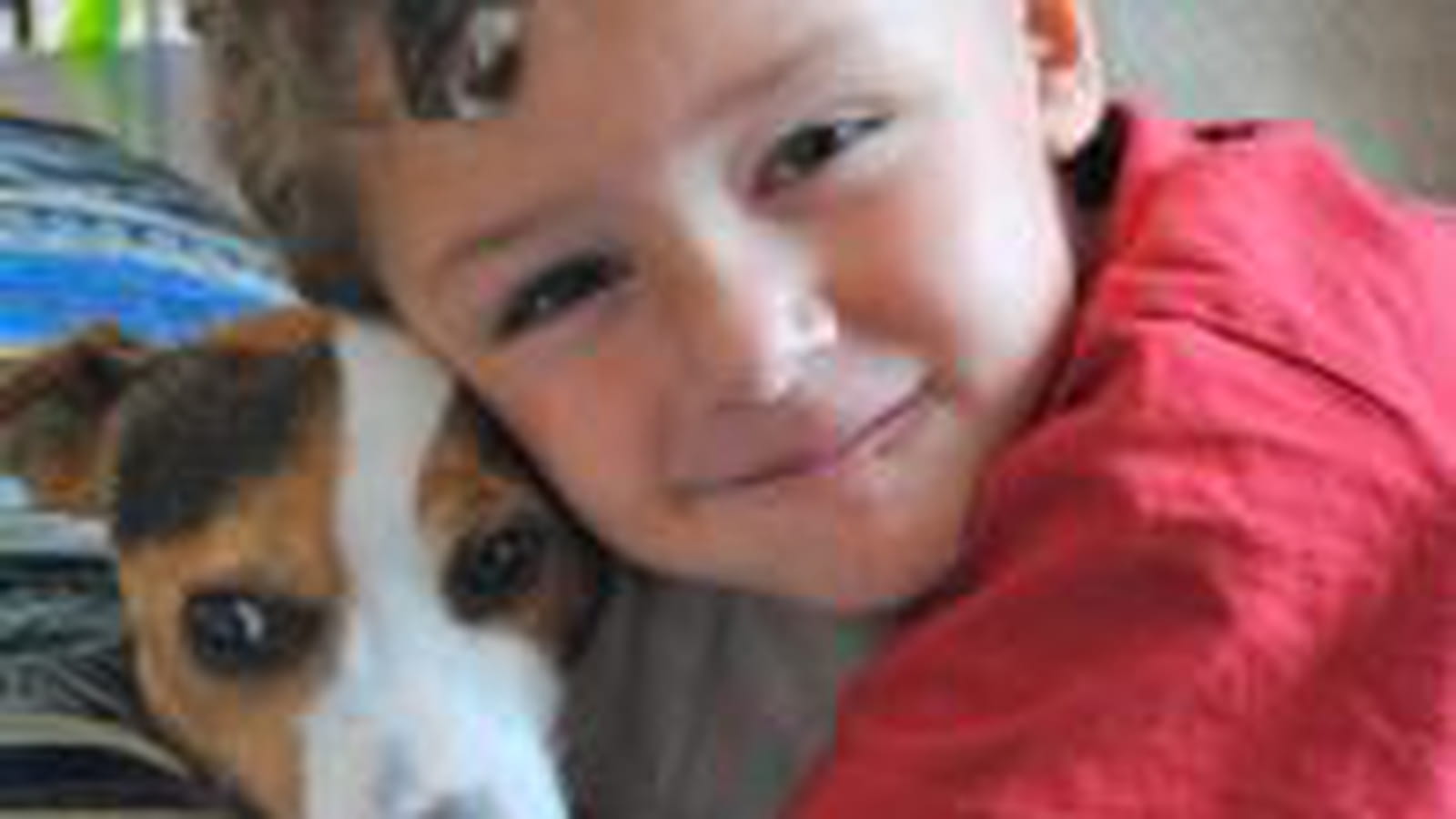 Un amour de chien
