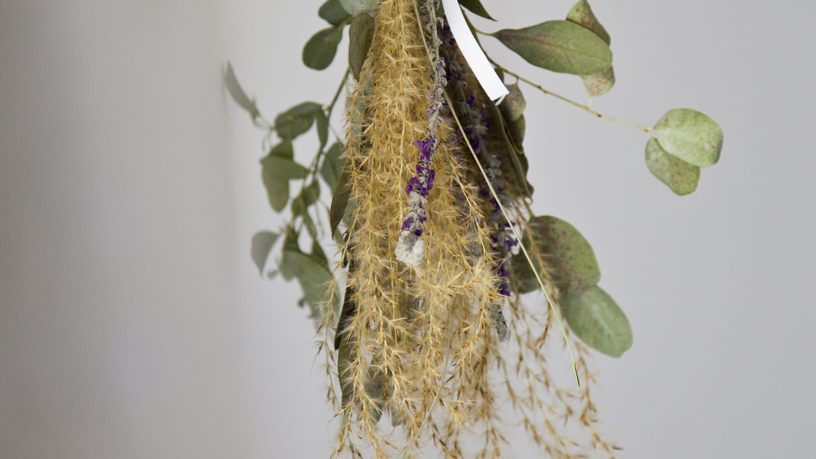 Fleurs séchées