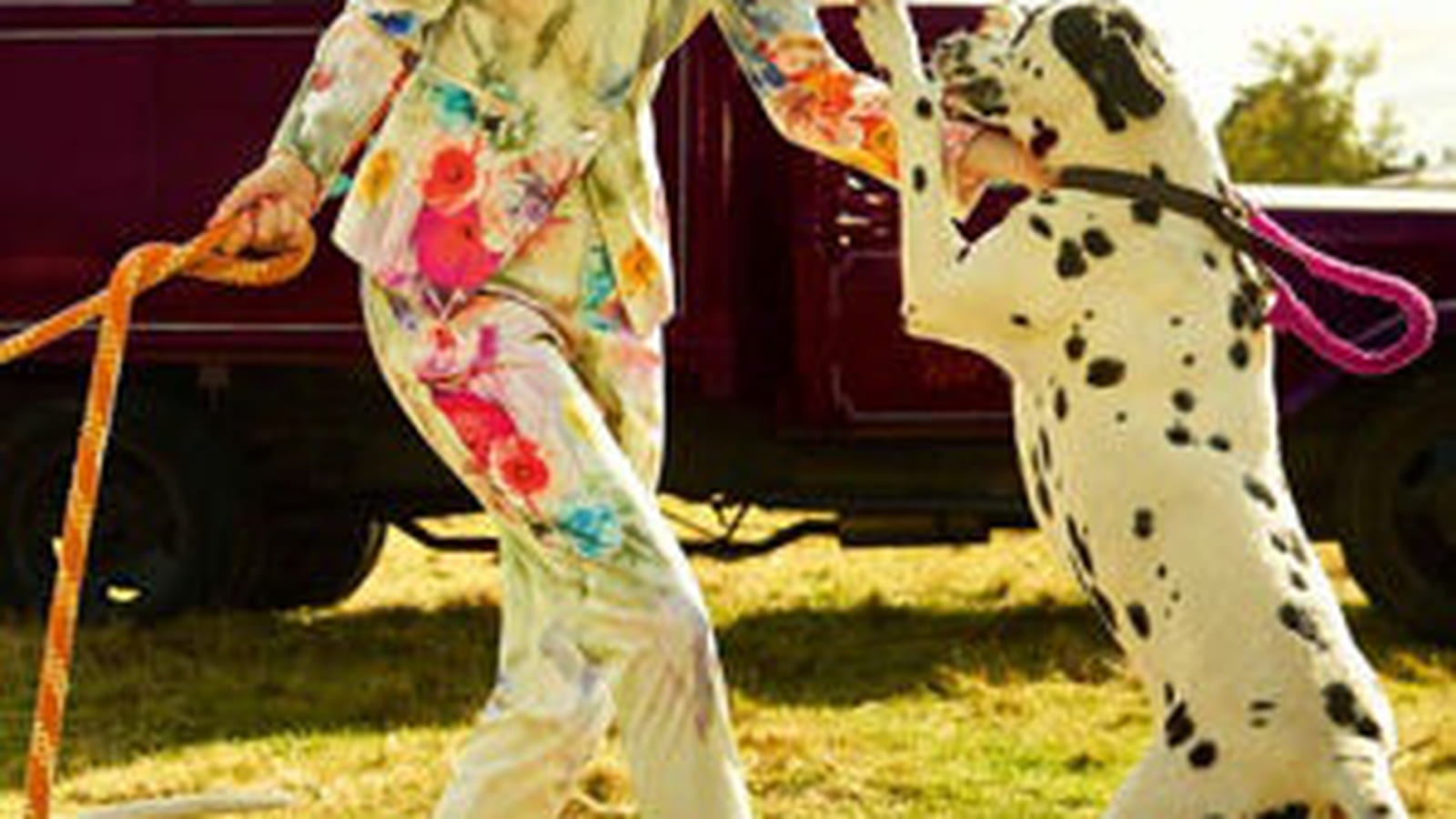 Pantalon "Avalyn" de Ted Baker
